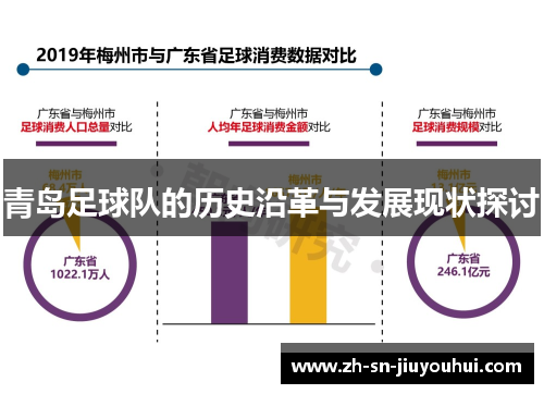 青岛足球队的历史沿革与发展现状探讨