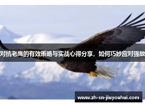 对抗老鹰的有效策略与实战心得分享，如何巧妙应对强敌